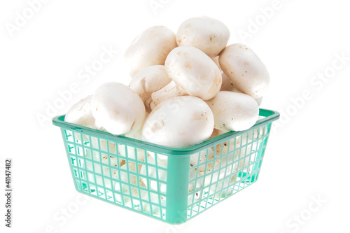 white mushroom