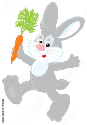 Bunny with a carrot