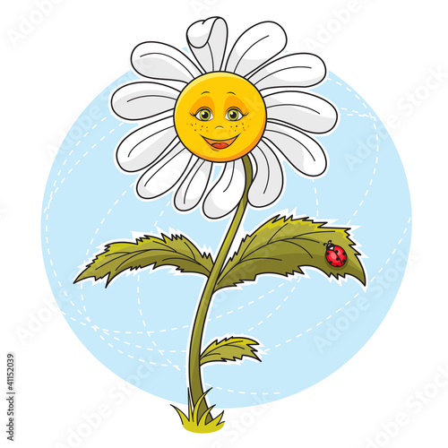 Fototapeta Naklejka Na Ścianę i Meble -  Daisy flower