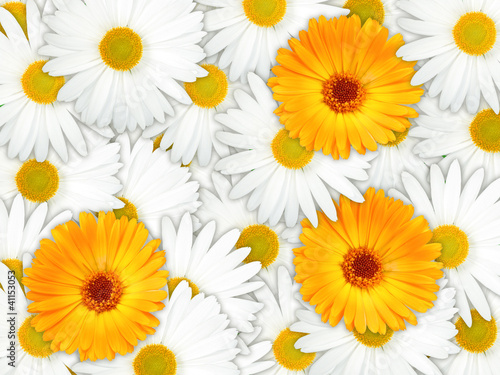 Background of orange and white flowers