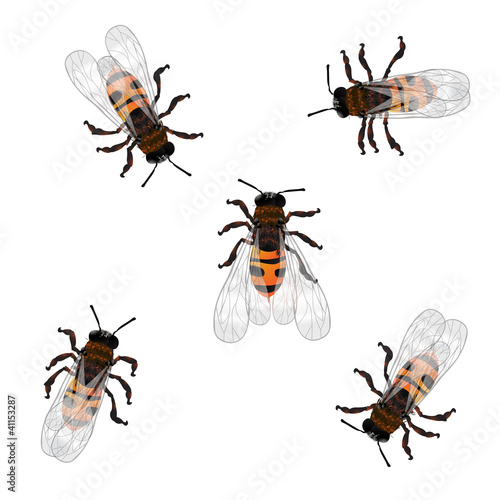 Working bees