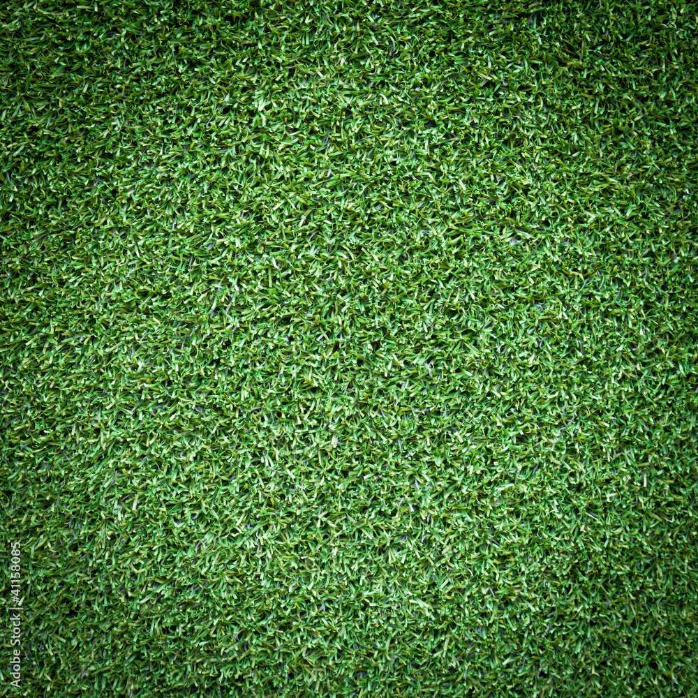 Obraz premium green grass