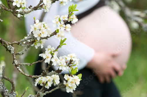 Bild auf Leinwand schwangere frau hinter kirschlüten zweig