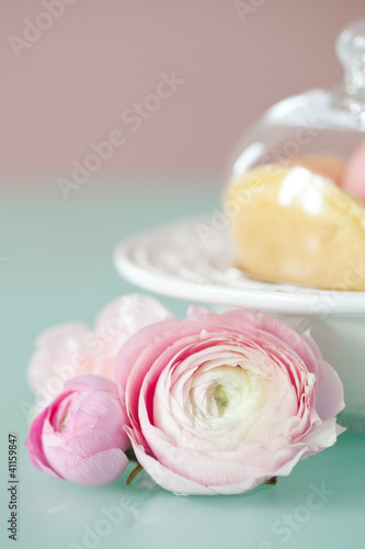 Wallpaper Mural sweet french macaron, the famous pastry Torontodigital.ca