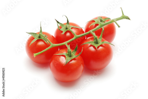 tomatoes