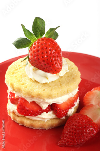 Canvas Print Strawberry and cream shortcake