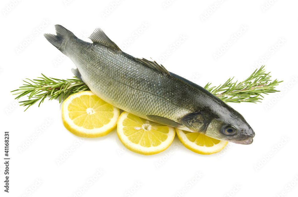 sea bass