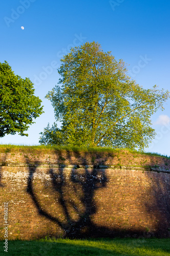 Ombra sulle mura - Lucca
