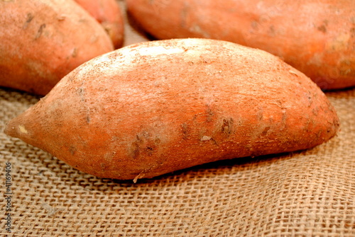 Fresh Harvested Sweet Potatoes photo