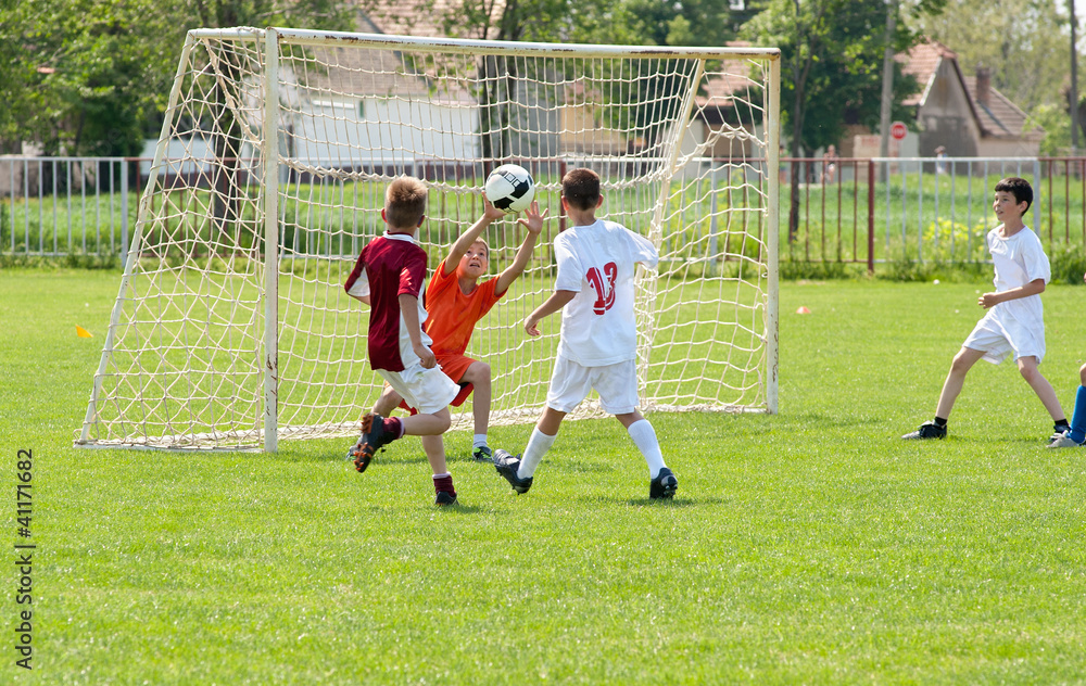 Obraz premium defense