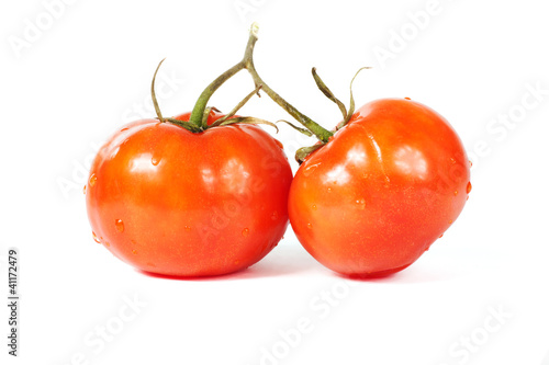 Two fresh tomatoes with green branch isolated on white