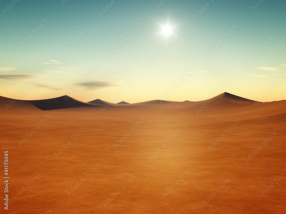 Fototapeta premium desert sunset
