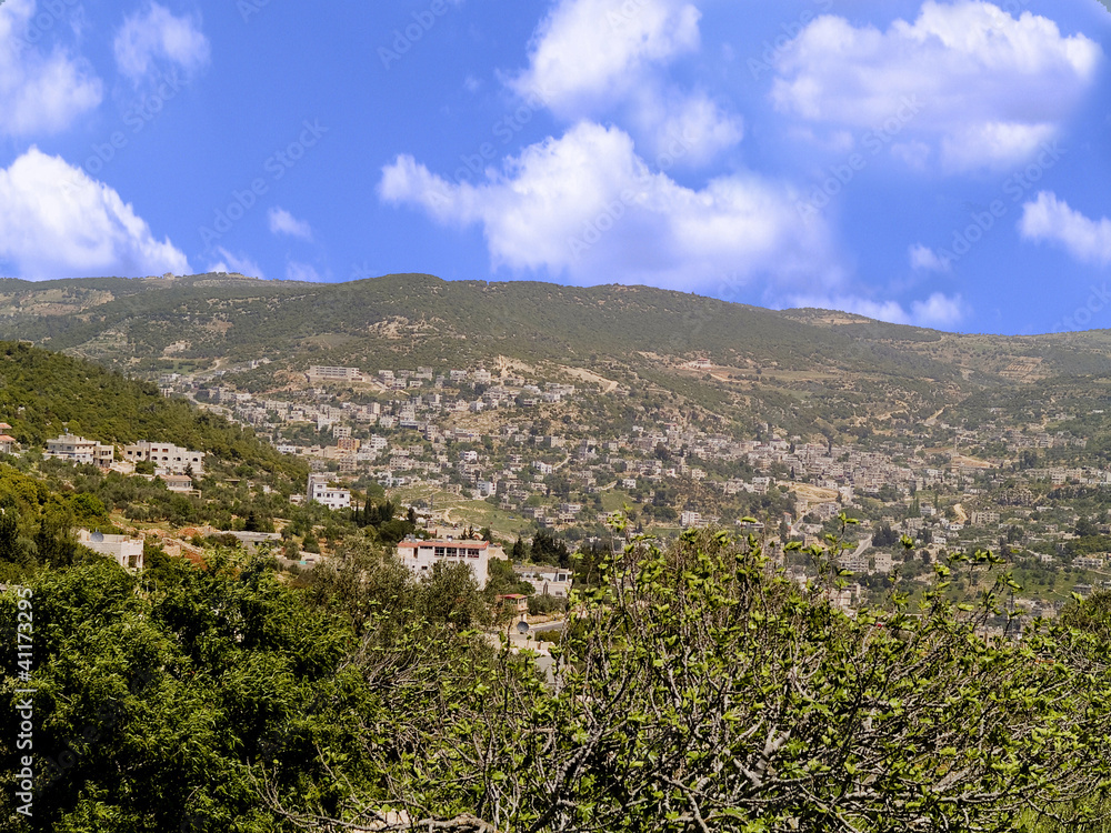 Ajloun town located n Jordan is known by its Castle.