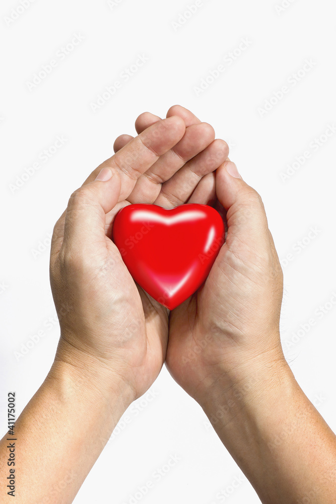 Fototapeta premium red heart in hands, isolated in white background