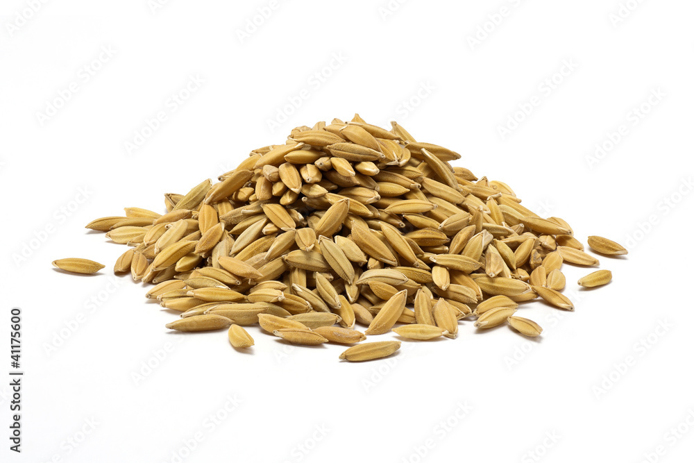 Fototapeta premium a pile of natural raw rice grains isolated on white background