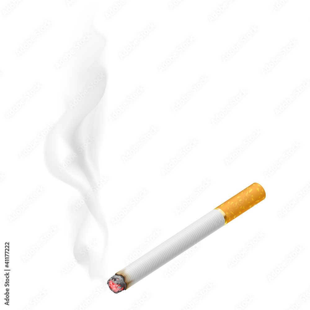 Realistic burning cigarette - obrazy, fototapety, plakaty 