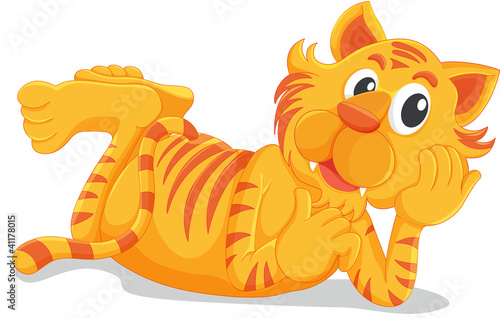 Tiger laying down