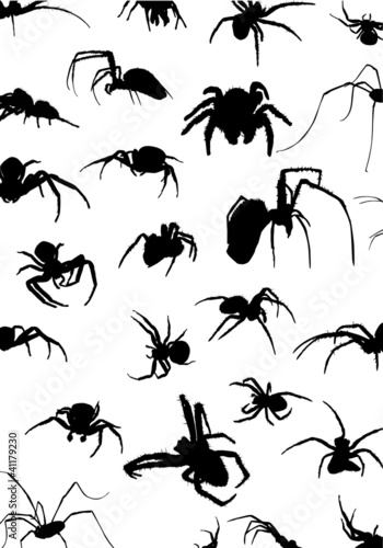 background with black spiders © Alexander Potapov