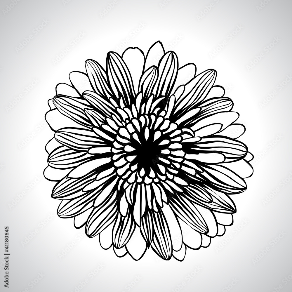 Vector hand draw flowers set isolated on white.