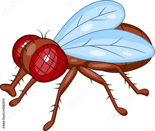 Fly cartoon