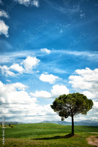 Tuscany landscape