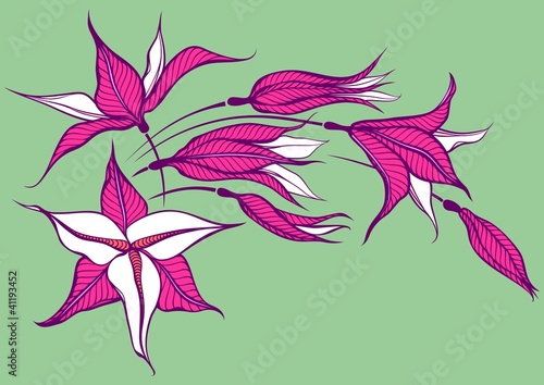 pink flower on green background
