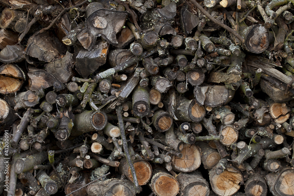 gesammeltes Holz auf Stapel aufgeschichtet gesammeltes Holz auf Stapel aufgeschichtet