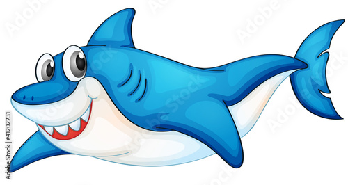 Comical shark illustration