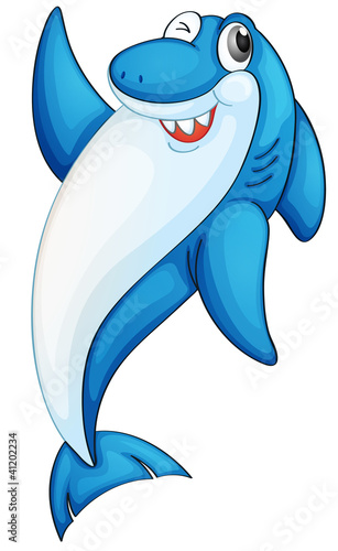 Comical shark illustration
