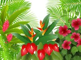 tropical forest background