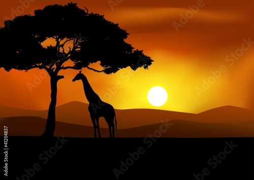 African Sunset background with giraffe