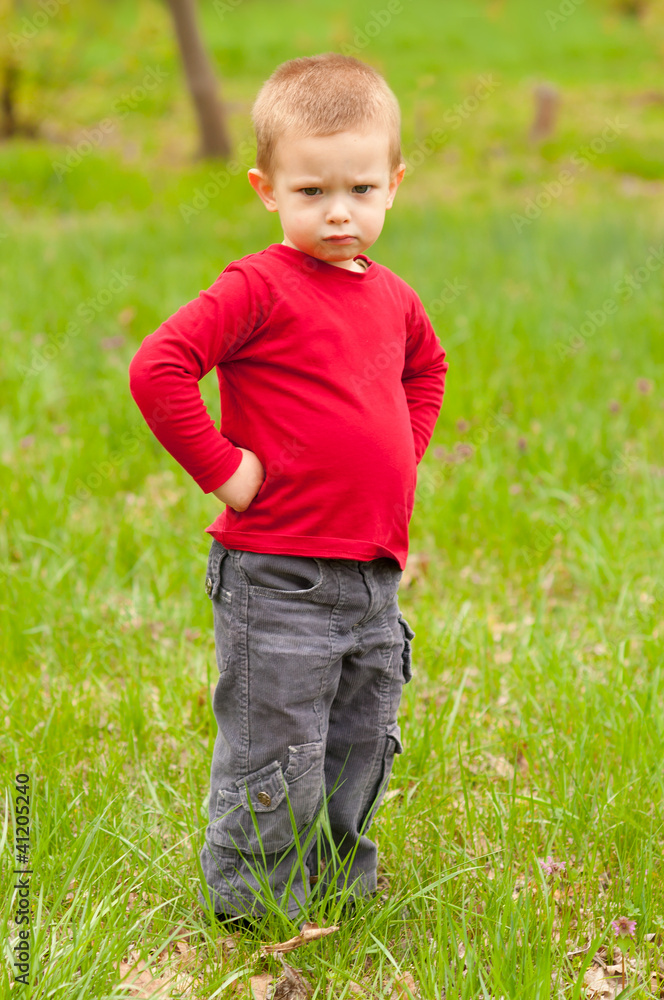 Cute angry little boy standing in the meadow on beautiful day Cute angry little boy standing in the meadow on beautiful day
