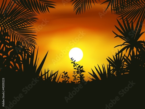 Tropical leaf background