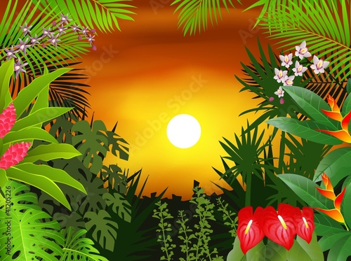 Tropical plant background