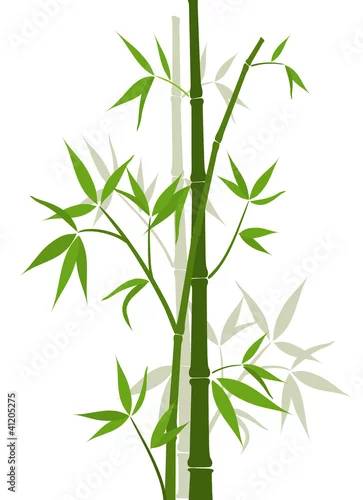 Naklejka na ścianę Bambusowy tło, wektor