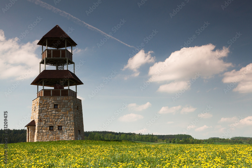 The yellow field with dandelions and view tower