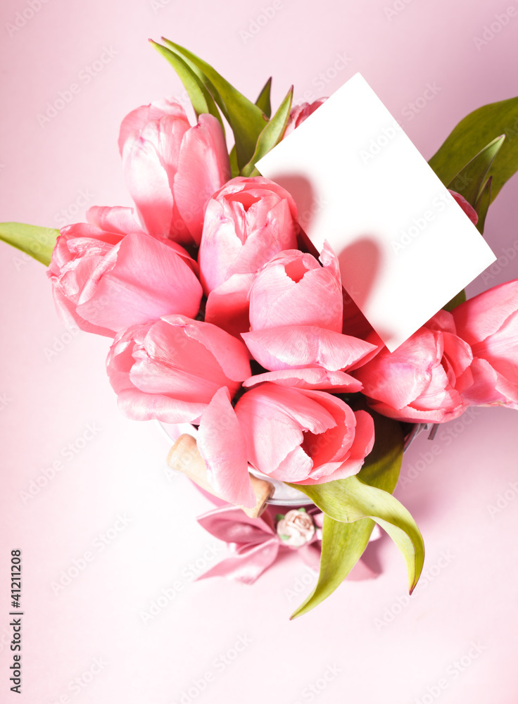 Fototapeta premium Pink tulips
