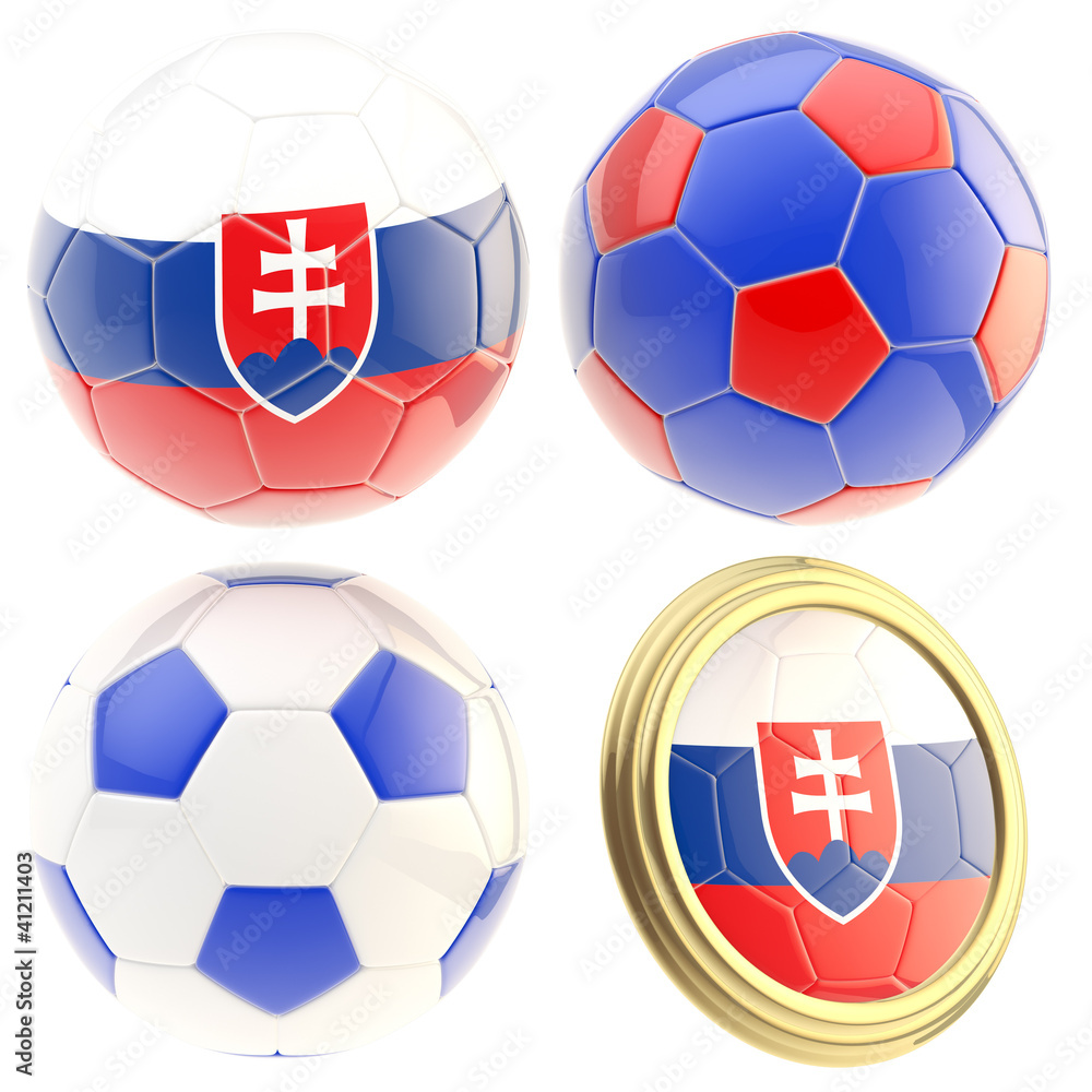 Fototapeta premium Slovakia football team attributes isolated
