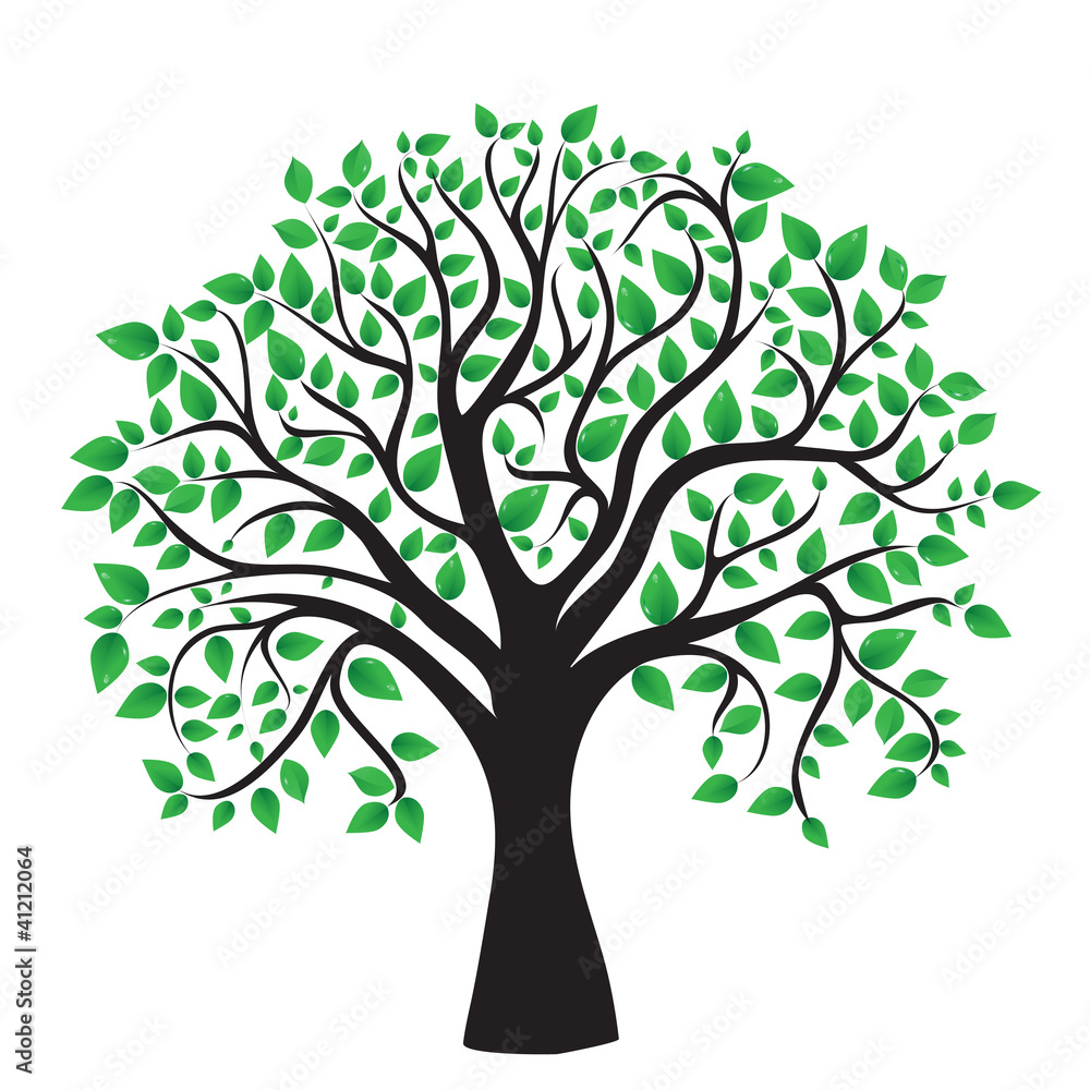 Obraz premium Tree isolated on a white background
