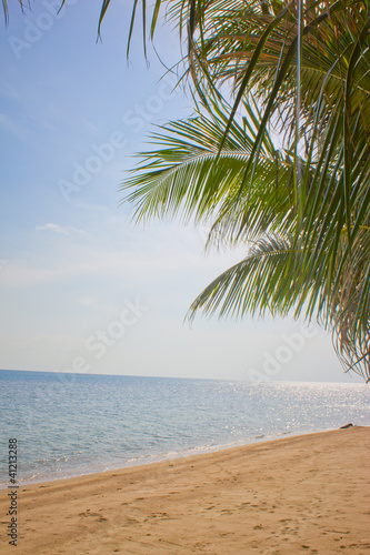 Fototapeta Naklejka Na Ścianę i Meble -  palm trees against the blue sky