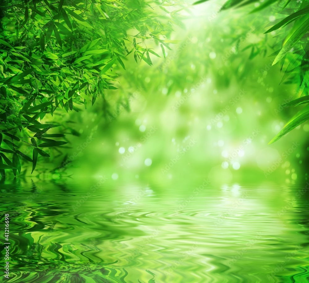 Zen Bamboo Forest,sun and water. - obrazy, fototapety, plakaty 
