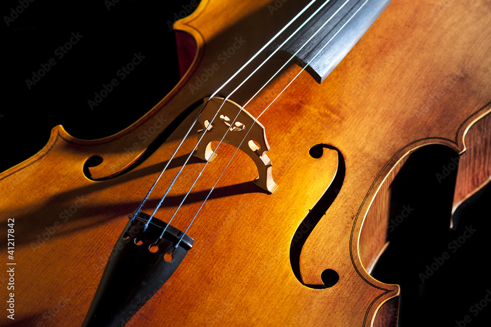 Fototapeta premium Cello or violoncello