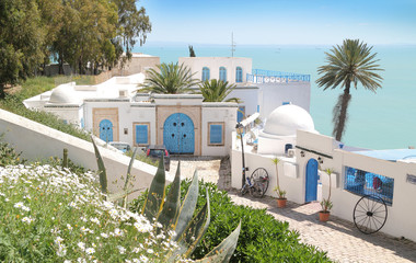 Fotobehang Tunesië Blauwe deur Sidi Bou Said  © Erika