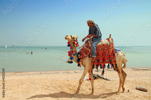 Egyptian man on his camel at Red Sea © Patryk Kosmider