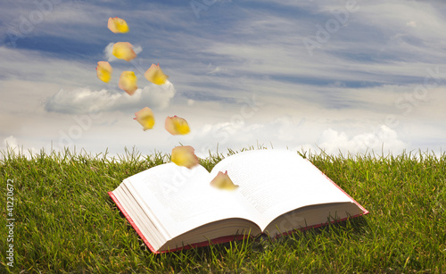 book on the grass