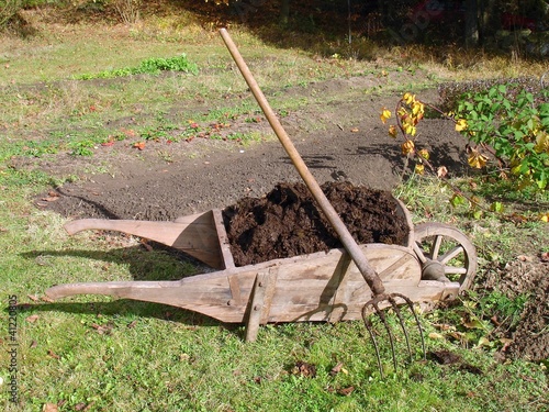 Old wooden wheelbarrow full of manure and pitchfork