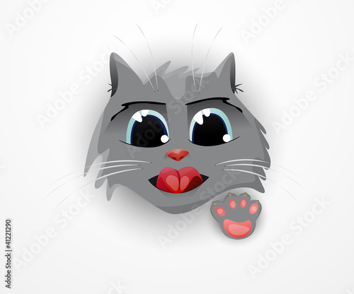 muzzle small kitten