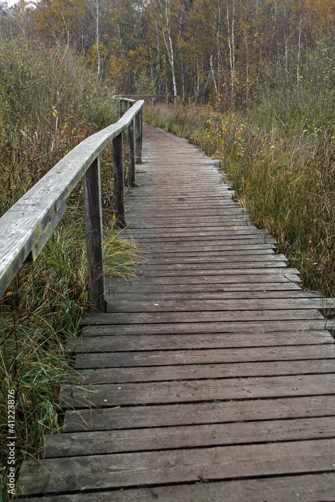 Obraz premium Bohlenweg durchs Hiller Moor