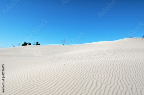 desert dunes in sardinia (porto pino)