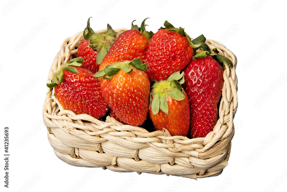 basket basket